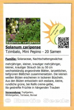 Solanum caripense, 20+ Samen